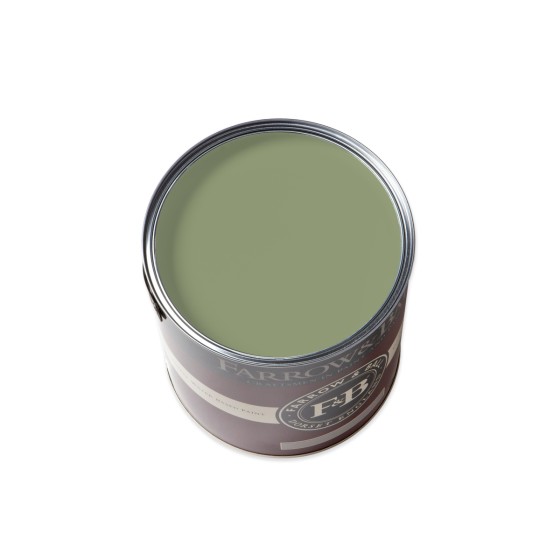 Farrow & Ball Paint 750ml Flat Eggshell Saxon Green No.80